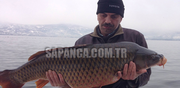 SAPANCA'DAN 25 KİLOLUK SAZAN ÇIKTI!