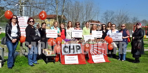 DİKMEN: 'KADINLAR HER ALADA EZİLMEKTEDİR'