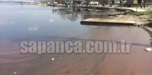 SAPANCA GÖLÜ KIZARDI