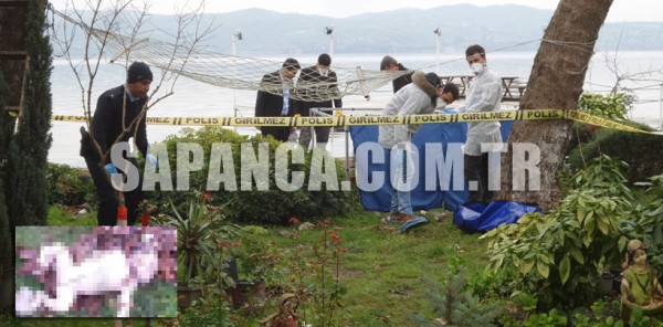 SAPANCA’DA BEBEK CESEDİ BULUNDU