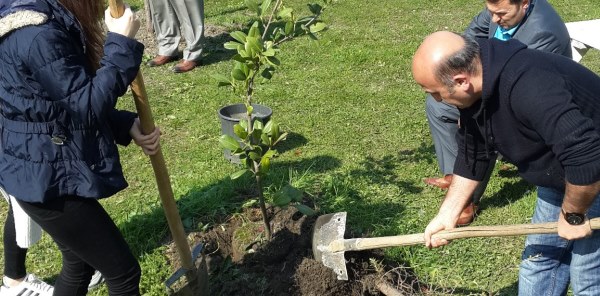 SAPANCA MYO’DAN METEM’E FİDAN
