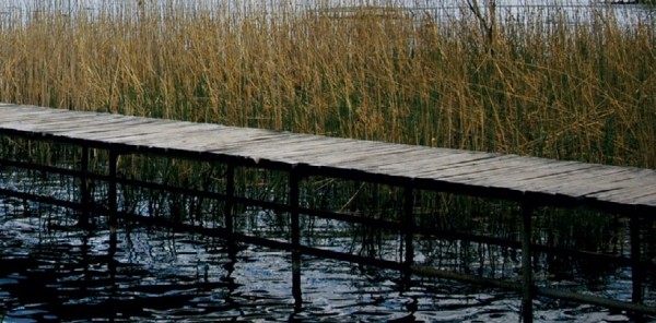 SAPANCA GÖLÜ'NDEKİ İSKELELERE DAVA