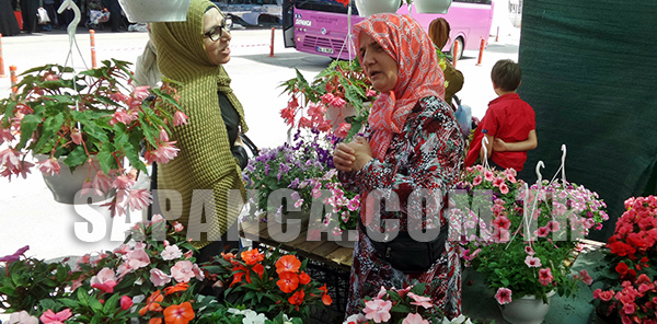 CANLI ÇİÇEKLERE TALEP ARTTI