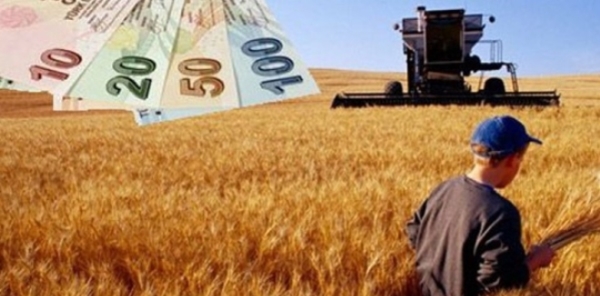 SAPANCA 2 ÇİFTÇİ HİBE DESTEĞİNDEN YARARLANDI