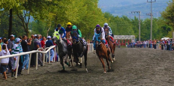 SAPANCA MAHALLİ AT YARIŞLARI ERTELENDİ