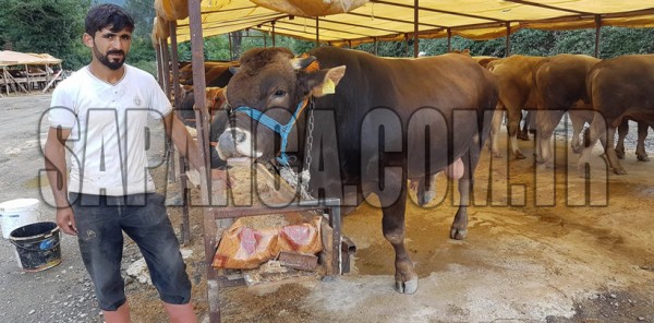 KURBANLIKTA FİYATLAR ARTTI