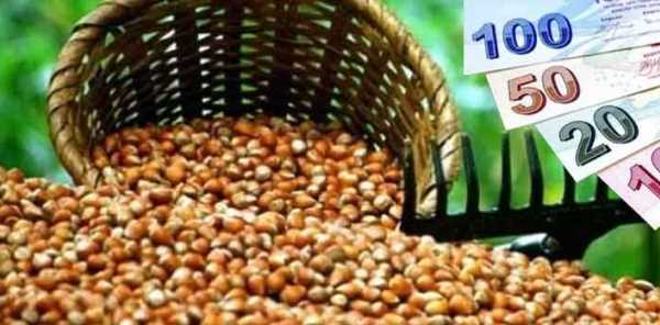 ÜRETİMİ DESTEKLENECEK ÜRÜNLER AÇIKLANDI