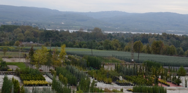 BAKAN EROĞLU: 'SAPANCA SEKTÖRDE ÖNCÜLÜK YAPIYOR'