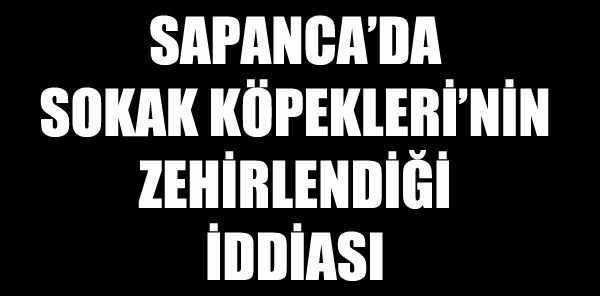SAPANCA BELEDİYESİ: 'KÖPEK ZEHİRLENMELERİYLE BİR İLGİMİZ YOK'
