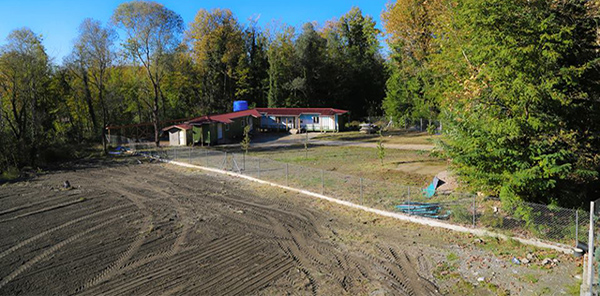 SAPANCA SOKAK HAYVANLARI KORUMA VE YAŞATMA DERNEĞİ’NDEN AÇIKLAMA