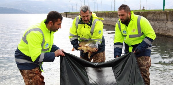 SAPANCA GÖLÜ’NÜN DOĞAL GÜZELLİĞİNİ KORUYACAKLAR