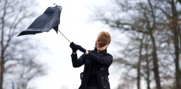 SAPANCA’DA RÜZGARIN HIZI YER YER 54 KM SAATİ BULDU