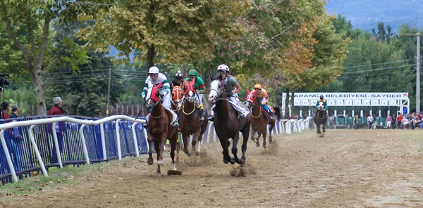 SAPANCA BELEDİYE BAŞKANLIĞI KOŞUSU