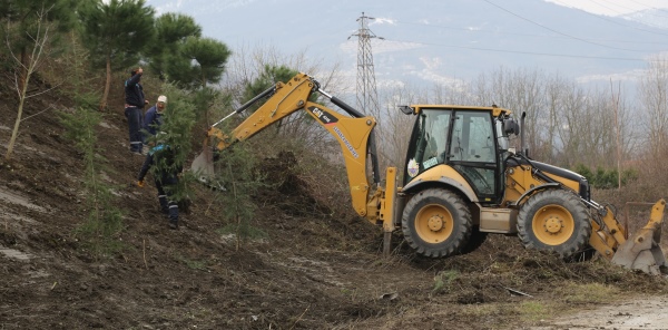 FİDAN EKİMİ VE BUDAMA ÇALIŞMALARI