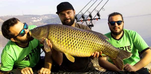 BALIKLARI ÖPEREK TEKRAR GÖLLERE BIRAKIYORLAR