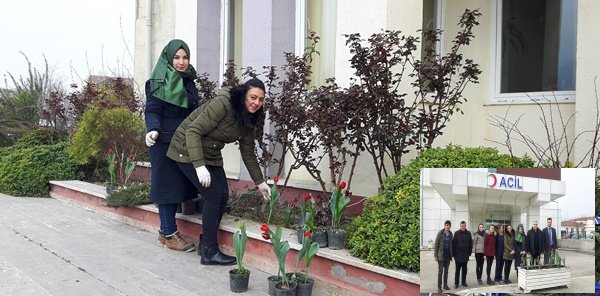 SAPANCA KAYMAKAMLIĞI VE İLÇE HASTANESİNDE LALELER AÇTI