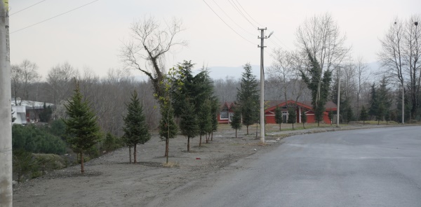 DAHA YEŞİL BİR SAPANCA İÇİN