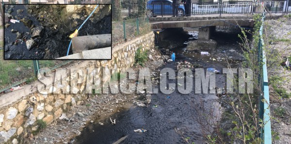 ÖNCE DEREYE SONRA SAPANCA GÖLÜ'NE