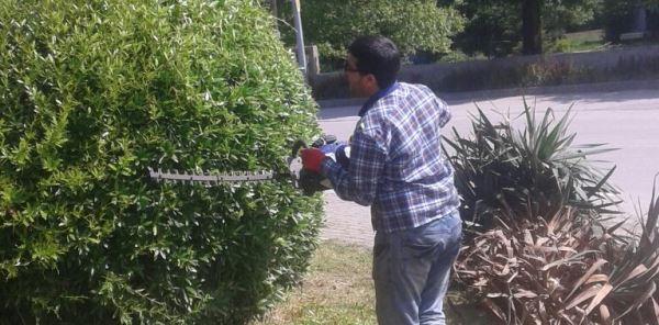 PARK VE BAHÇELERDE YAZ ÇALIŞMALARI