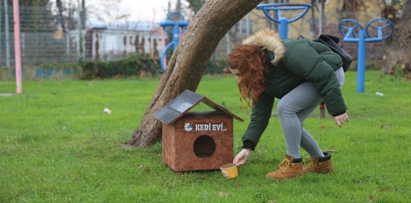 'SOKAKTA YAŞAYAN TÜM CANLILAR BİZE EMANET'