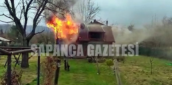 SAPANCA'DA KORKUTAN YANGIN