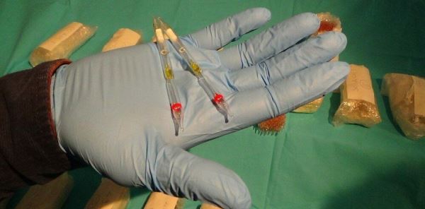 SAPANCA'DA 35 TÜP KOBRA ZEHRİ ELE GEÇİRİLDİ