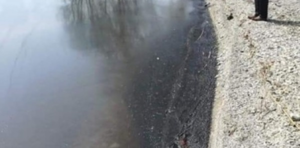 SAPANCA GÖLÜ'NDE ESRARENGİZ SİYAH TABAKA