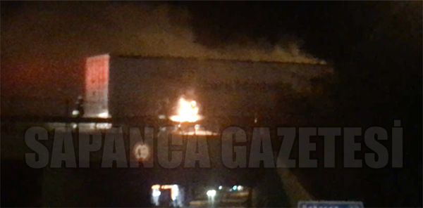 SAPANCA'DA TIR YANGINI