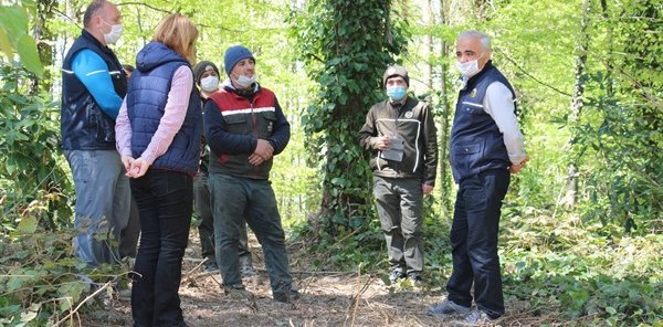 SOĞUCAK ORMANLARINDA DENETİM