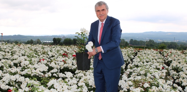 'ÜRETİCİNİN ELİNDE KALAN FİDANLARI ALACAĞIZ'