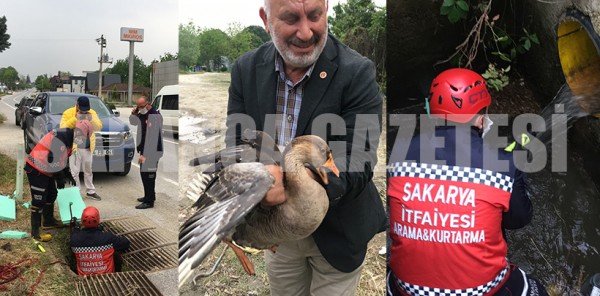 İTFAİYEDEN 3 SAATLİK KAZ KURTARMA OPERASYONU