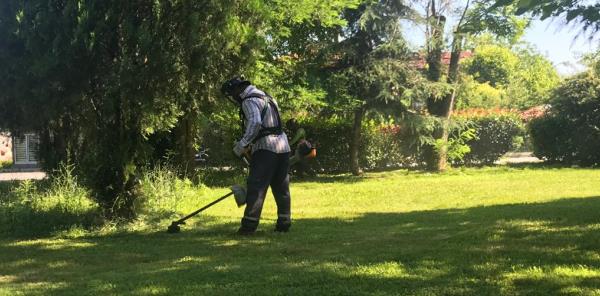 BUDAMA VE İLAÇLAMA ÇALIŞMALARI SÜRÜYOR