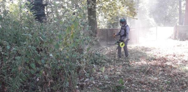 EĞİTİM ÖNCESİ OKUL BAHÇELERİNDE HAZIRLIK