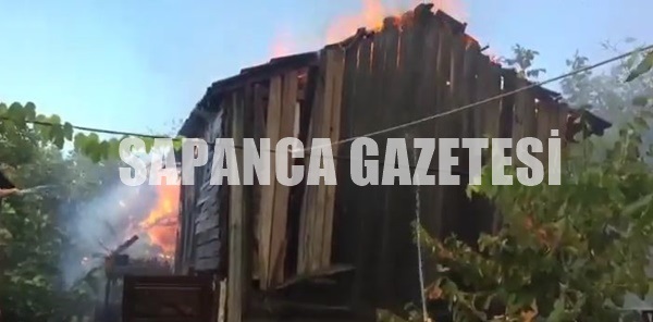 SAPANCA'DA KORKUTAN YANGIN