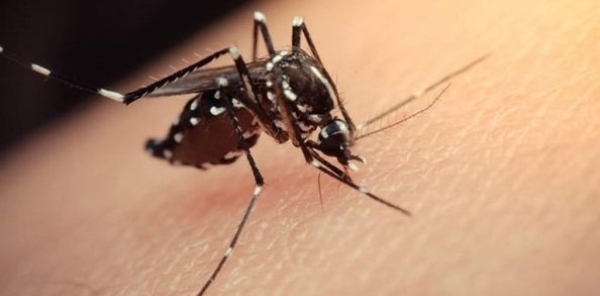 BÜYÜKŞEHİR VE SAĞLIK MÜDÜRLÜĞÜNÜ GÖREVE ÇAĞIRDI