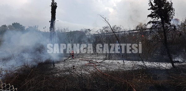 SAPANCA'DA KORKUTAN YANGIN