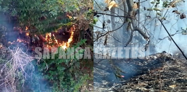 ORMANLIK ALANDA ÇIKAN YANGIN KORKUTTU