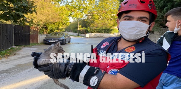 BORUYA SIKIŞAN KEDİYİ İTFAİYE KURTARDI