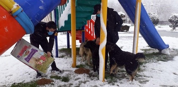SAPANCA BELEDİYESİ SOKAK HAYVANLARINI UNUTMADI
