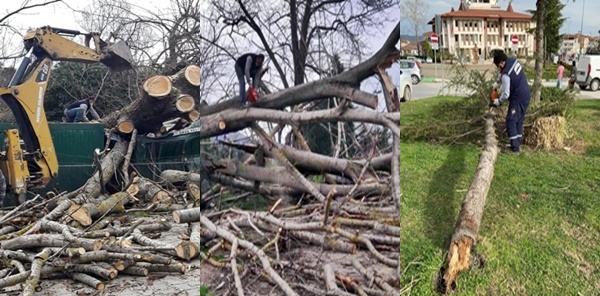 ŞUBAT FIRTINAYLA GELDİ