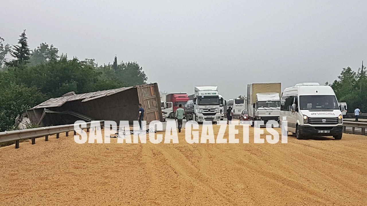 TIR DEVRİLDİ YOL SOYA FASULYESİ İLE KAPLANDI