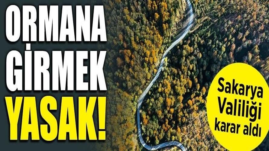 SAKARYA'DA ORMANLARA GİRİŞ ÇIKIŞLAR YASAKLANDI!