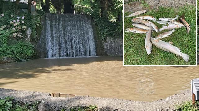 DEREDEKİ İNŞAAT BALIKLARI ÖLDÜRDÜ