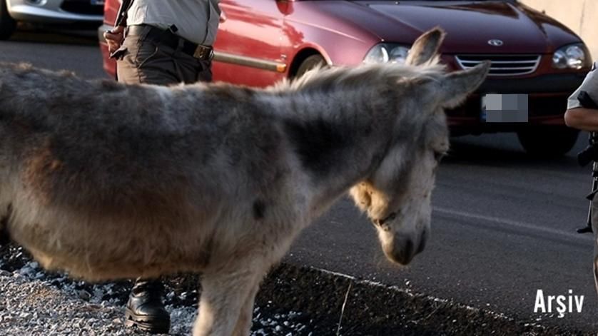 VİCDANSIZ  O SÜRÜCÜYE İNCELEME
