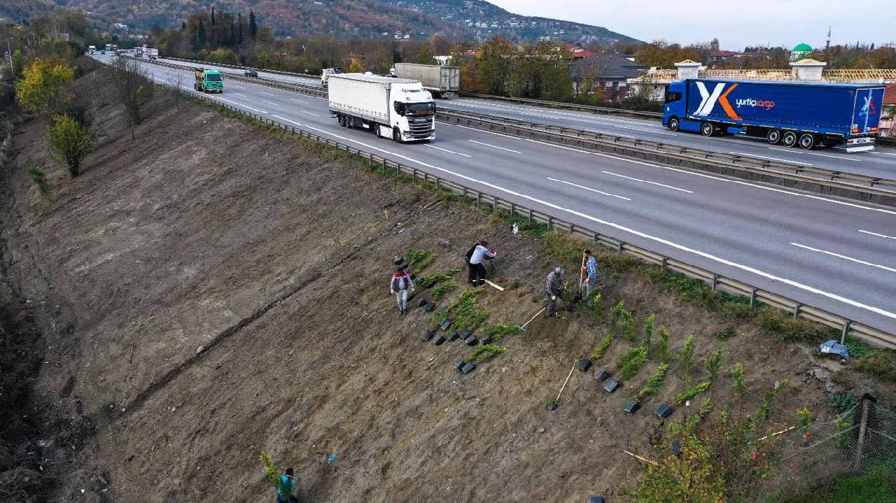 SAPANCA'DA SES PERDESİ PROJESİNE BAŞLANDI