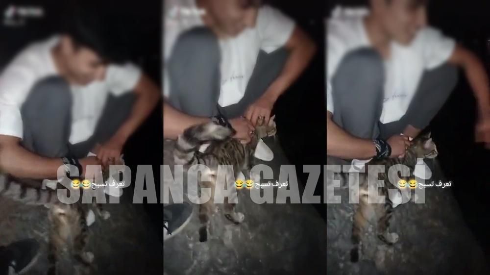 KEDİYİ GÖLE ATAN 2 IRAKLI ÇOCUK YAKALANDI