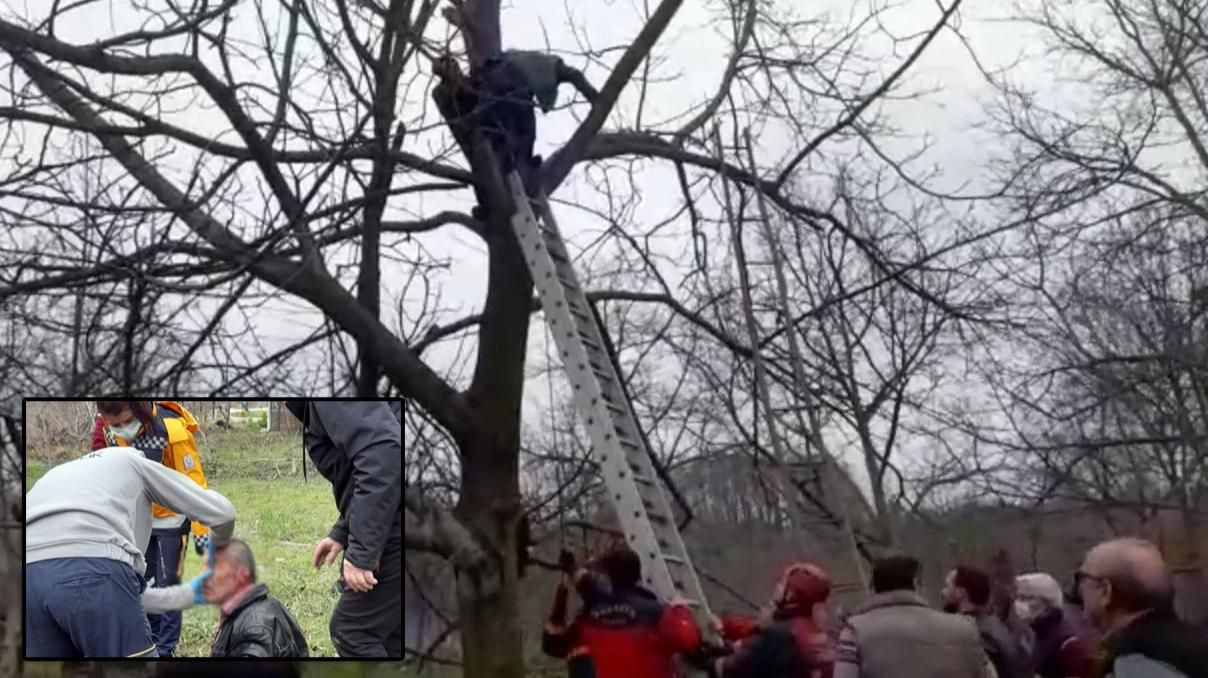 BUDADIĞI AĞAÇTA FENALAŞARAK MAHSUR KALDI