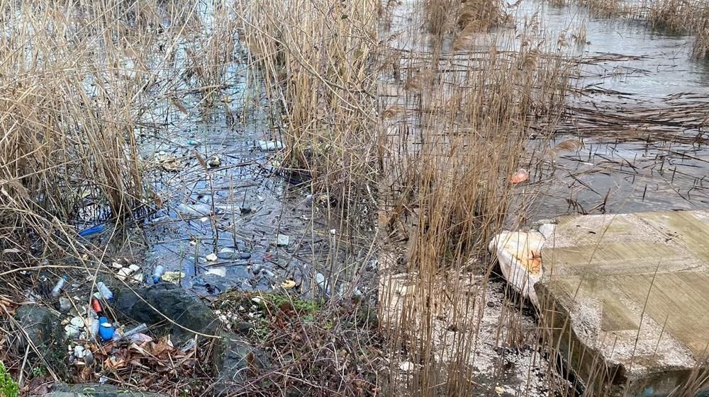 SAPANCA GÖLÜNE YAKIŞMAYAN GÖRÜNTÜLER