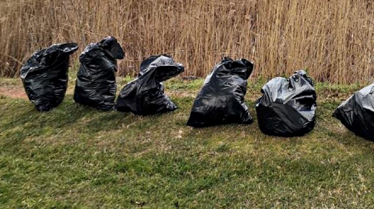 SASKİ'DEN SAPANCA GÖLÜ'NDE TEMİZLİK ÇALIŞMASI
