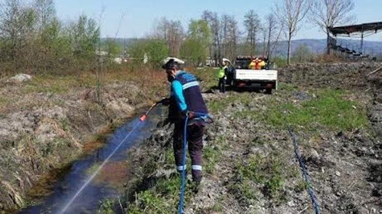 SAPANCA'DA LARVA İLAÇLAMA ÇALIŞMASINA BAŞLANDI
